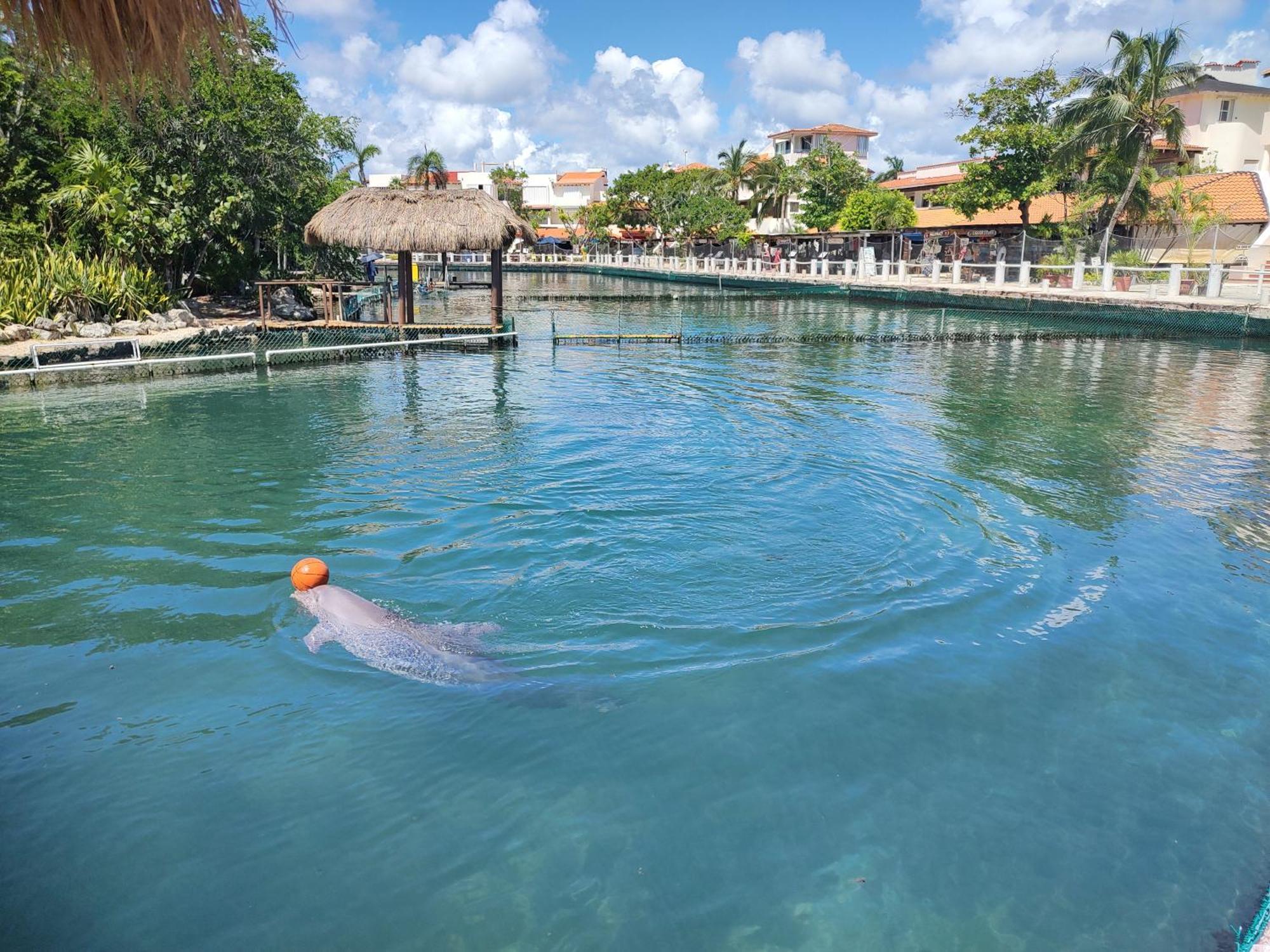 Private Rooms In A Hotel-Type Apartment - Super Located Puerto Aventuras Eksteriør bilde